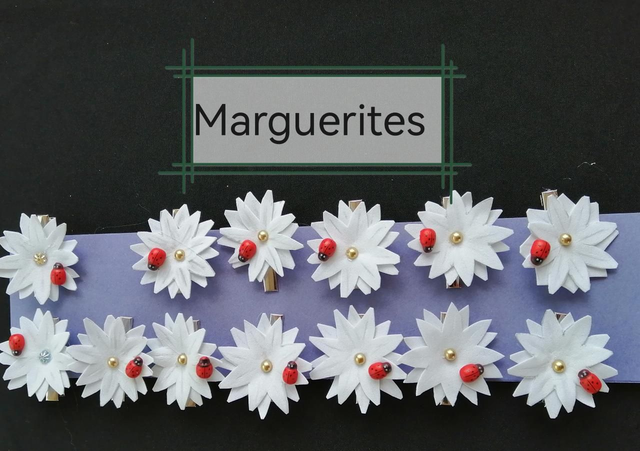 Barrette pince à cheveux 10 