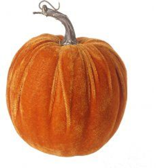Velvet Pumpkin