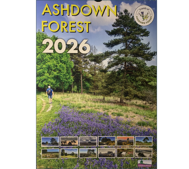 The Friends 2026 Calendar 