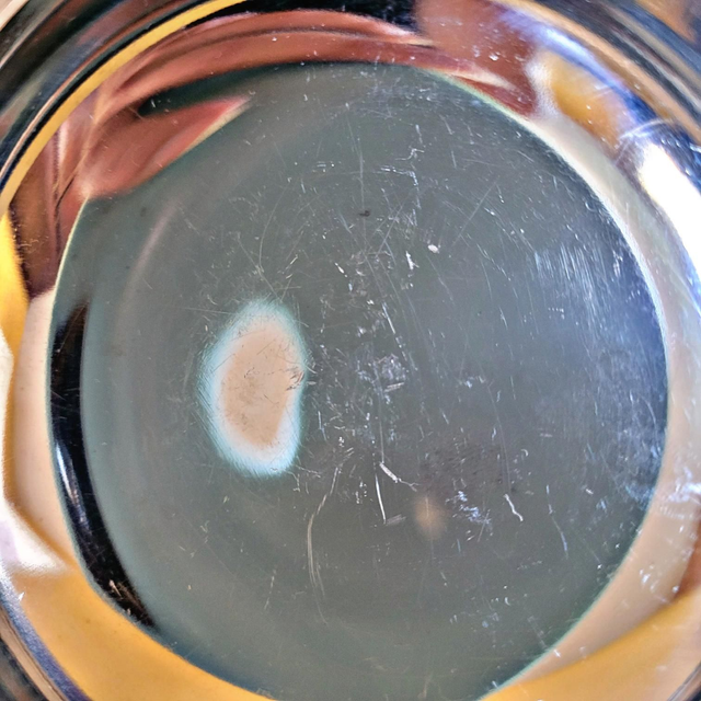 X Coupes à glaces rondes vintage inox type Letang Remy