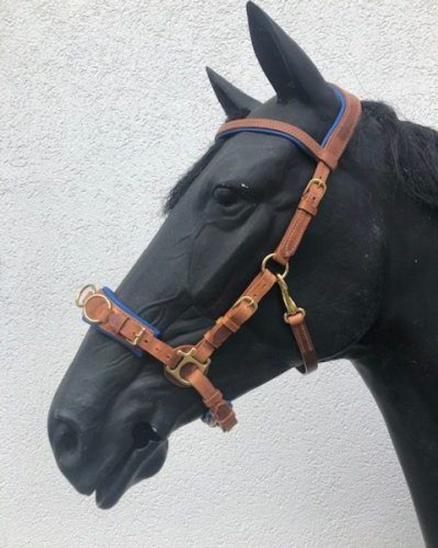 Kappzaum Standart oder nach Maß