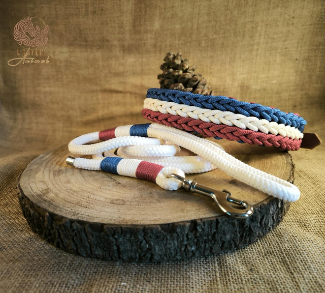  🇫🇷 Collier &amp; laisse "Esprit Français"