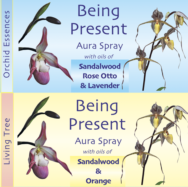 Being Present Aura Spray