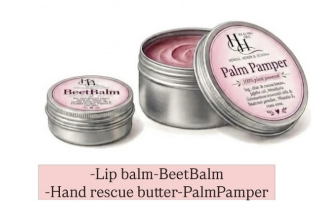 Healing hue Vegan cosmetics hamper- WELLNESS