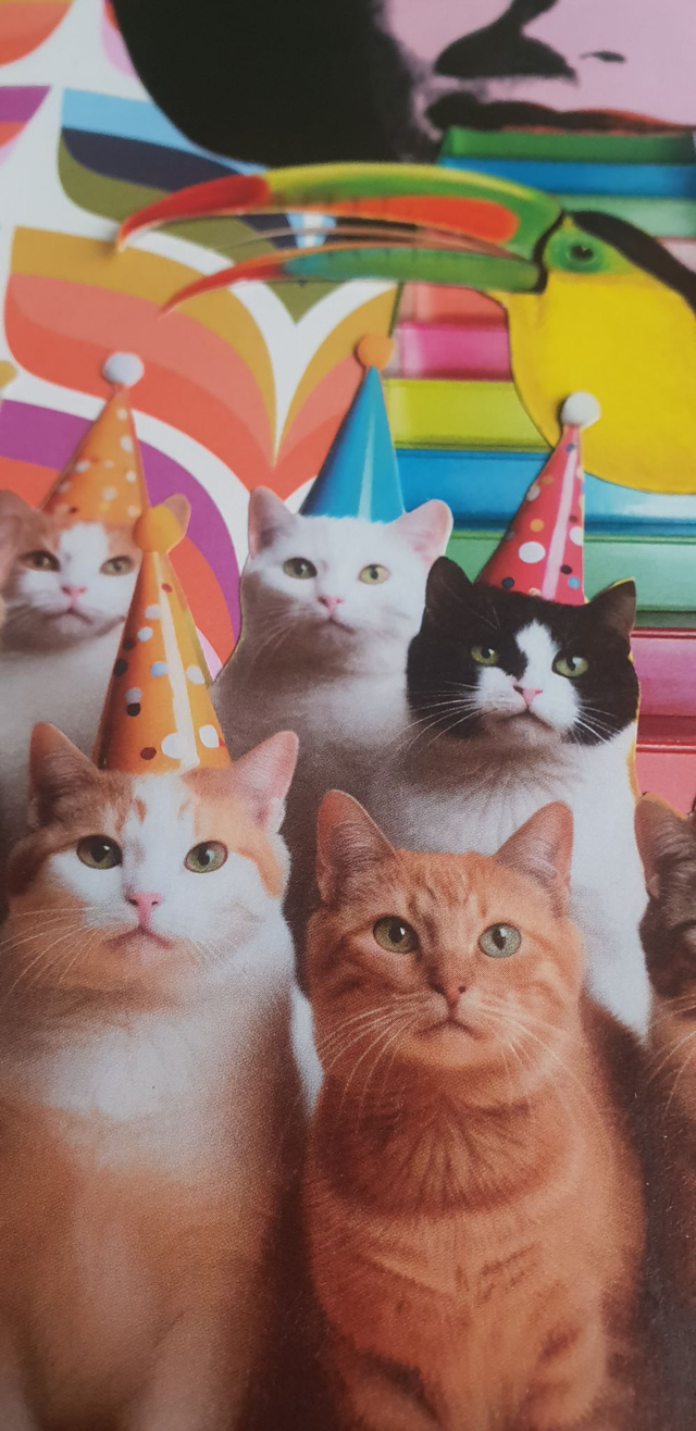 Atelier de collage jeudi 7 mai "Pop"