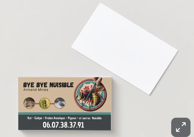 Design Carte de Visite (Identité Visuelle)