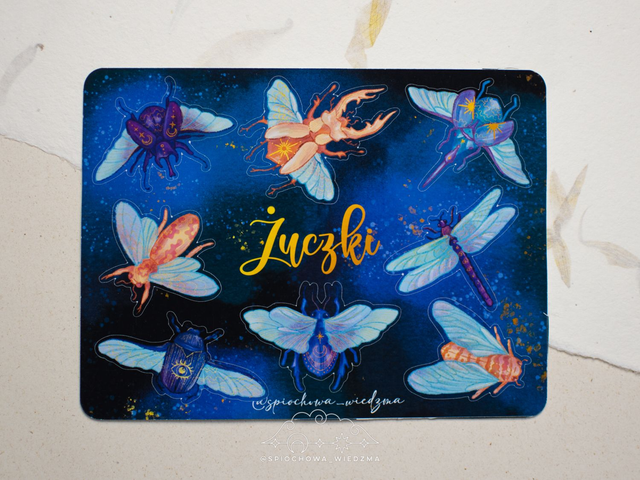 Żuczki | ZWIERZĘTA