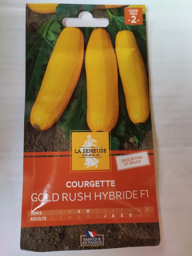 Courgette Gold rush hybride F1