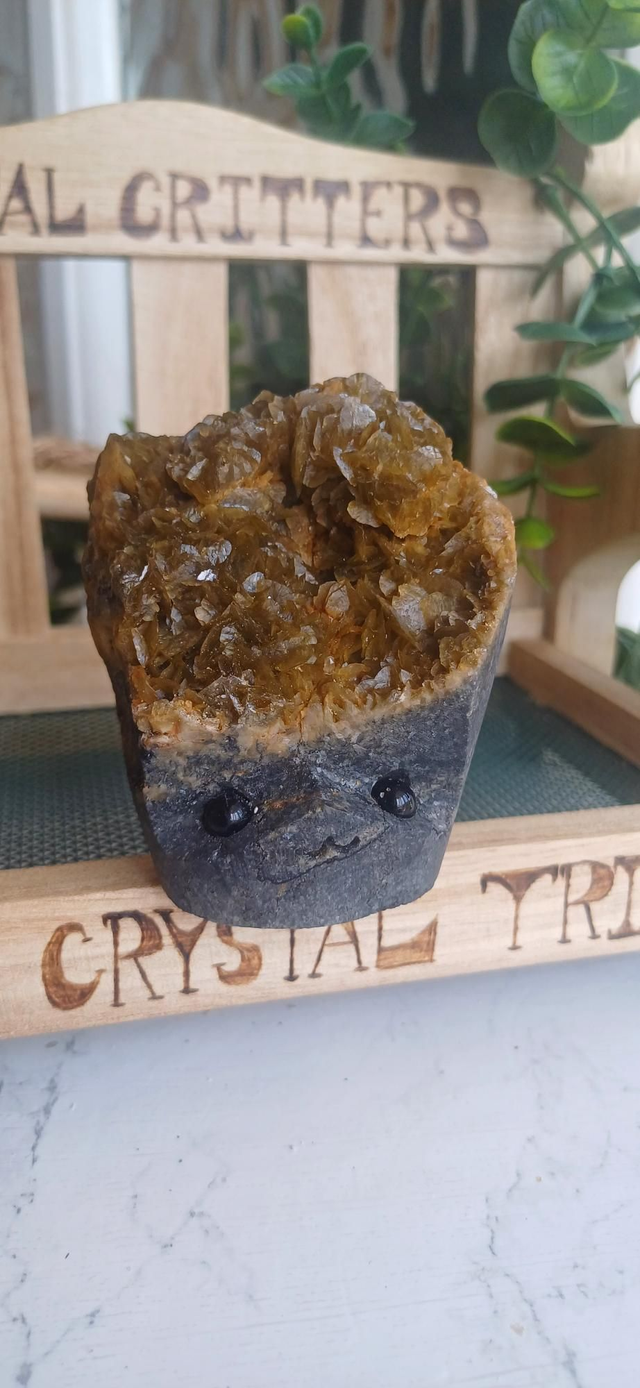 Fernin - Crystal Critter