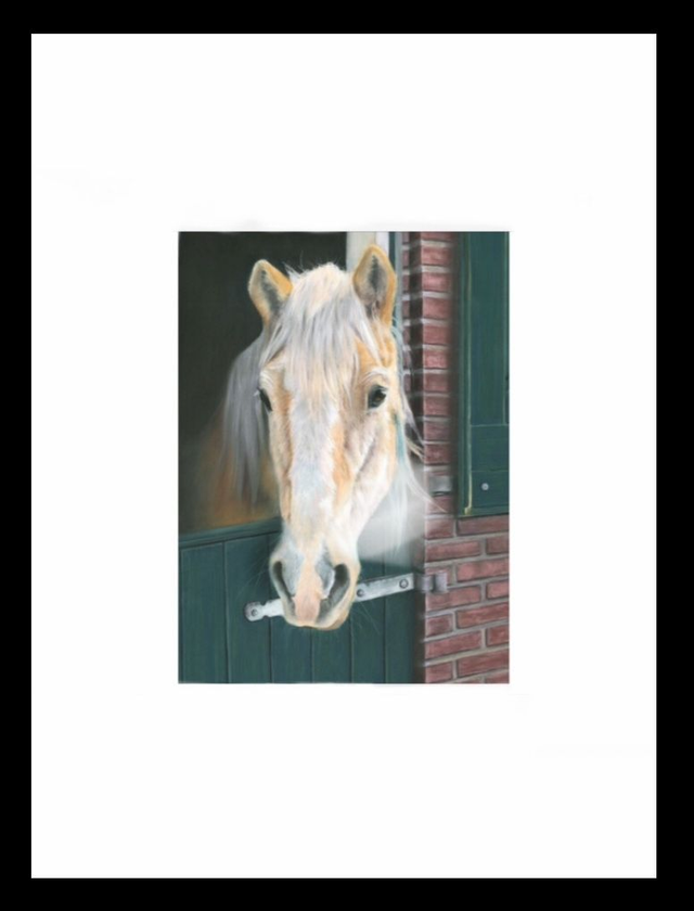 Print (large) 'SOFIE' (Olde Manegepeerd)