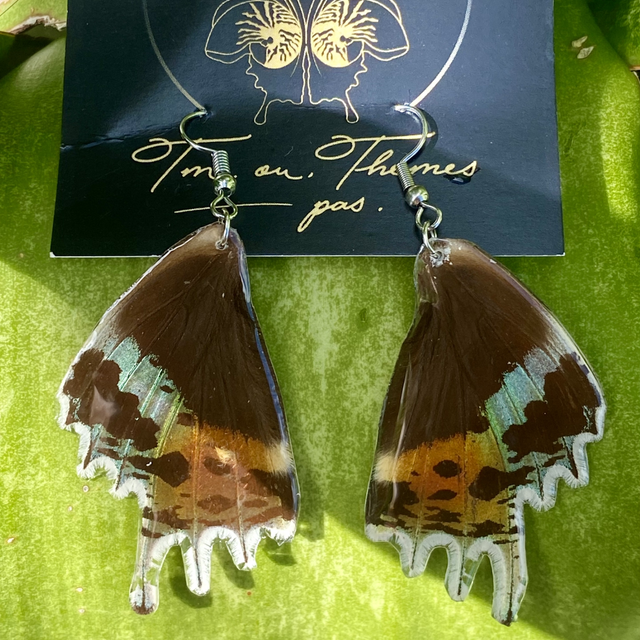 Boucles d’oreilles en ailes de papillon urania