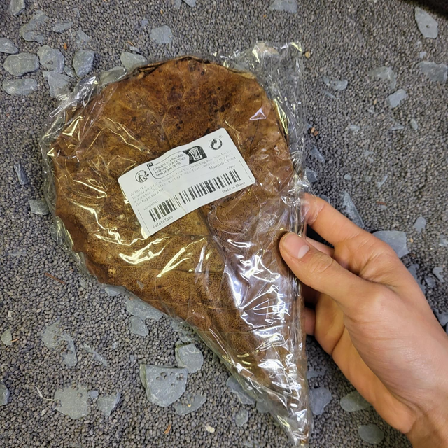 Catappa XL 10st. 99576443019