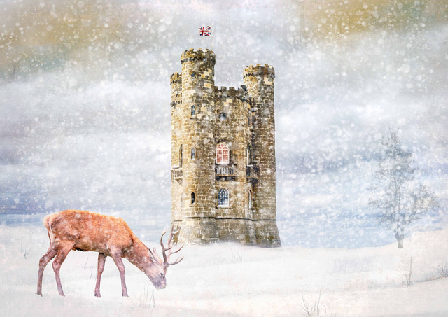 Stag Snow Scene