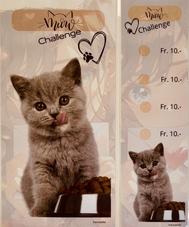 Miaou 9