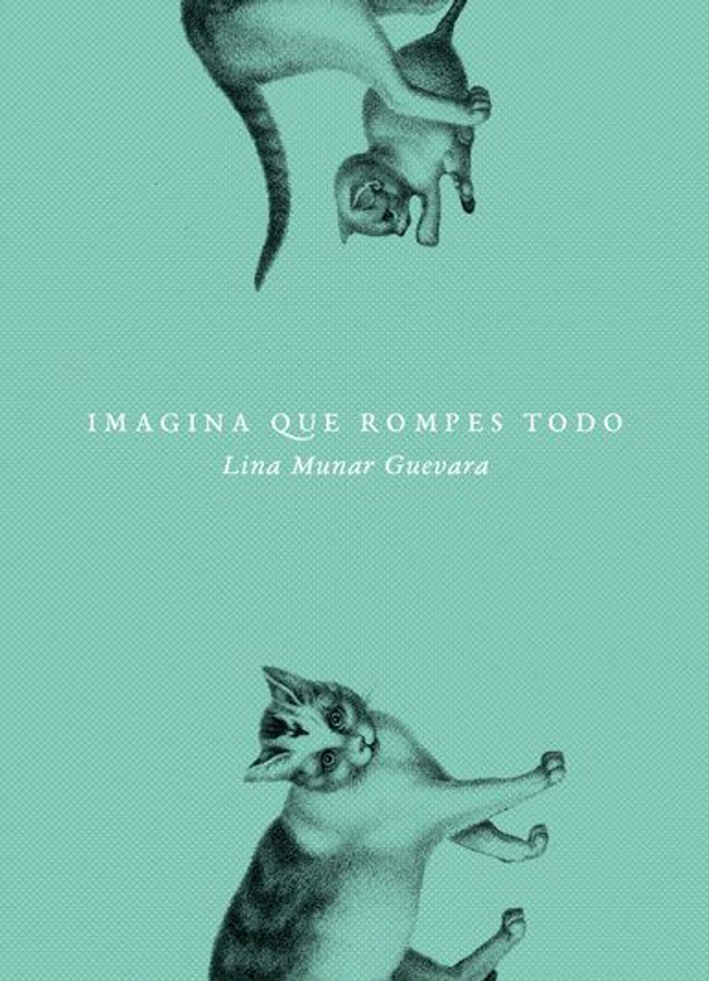 Imagina que rompes todo - Lina Munar Guevara
