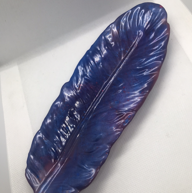 Vide poche plume rouge et bleu