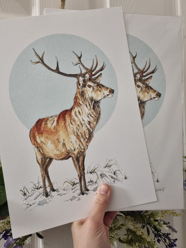 CLEARANCE - Discontinued Print - "Short Eared Owl" - A4 size