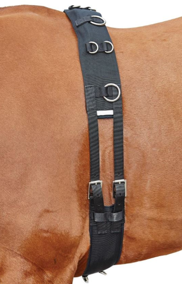 Kincade Lunge Roller with Fleece Padding