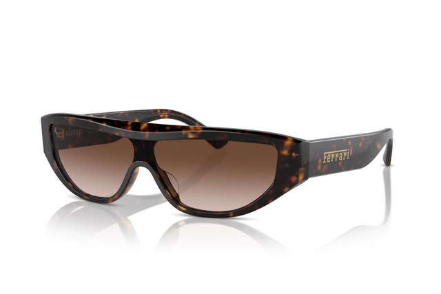Eyewear Man Woman Ferrari  FH 2004U 702/13