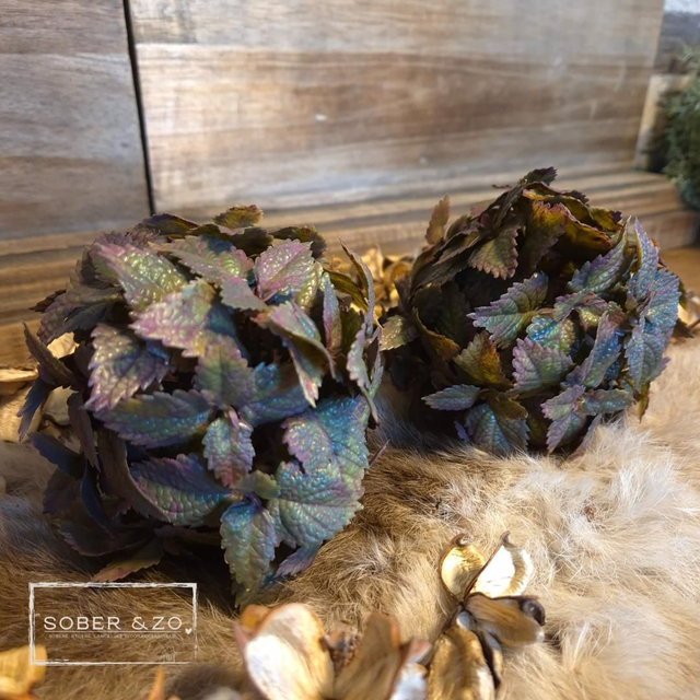 Siernetel bol (kunst) S