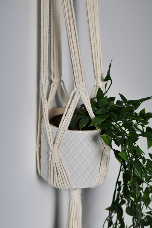 TALYA ~ Suspension murale pour plante