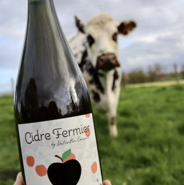 Cidre Brut Normand - Domaine de la Butte 