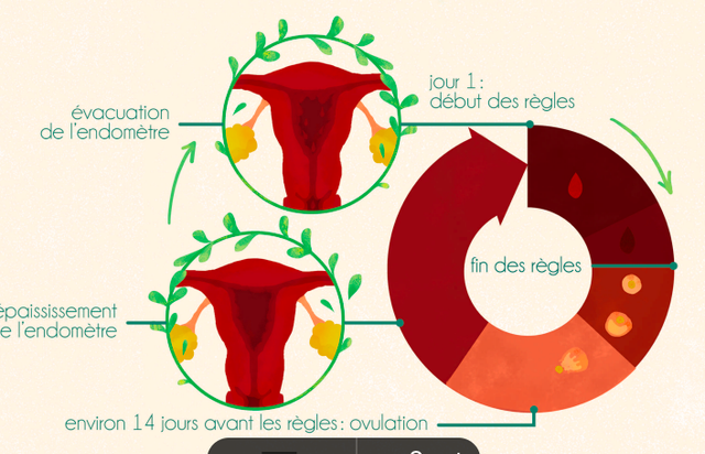 9-11 ANS : ATELIER 2/3 Corps et puberté