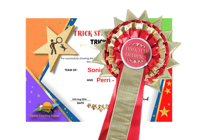 Champion - Cert &amp; Rosette