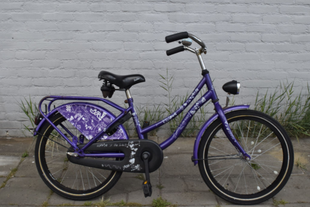 Loekie Hey met terugtraprem (20 inch)