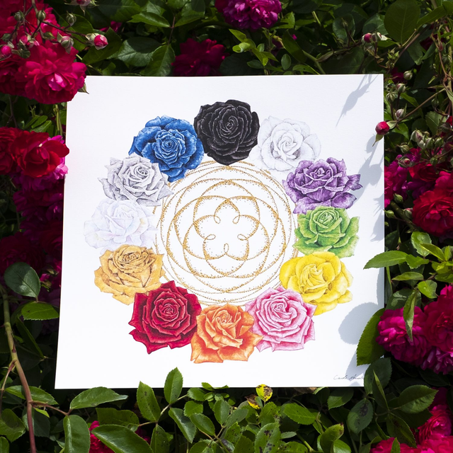 Couronne de Roses 30x30 cm