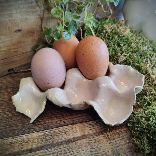 Support 6 oeufs Poudrée Magique