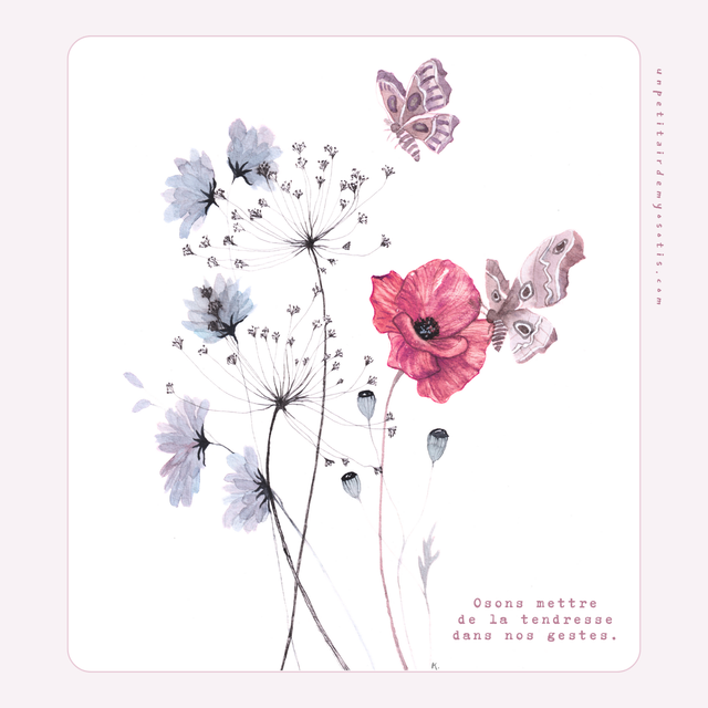 Carte-poème coquelicot et papillons de nuit &quot;osons mettre de la tendresse dans nos gestes&quot;