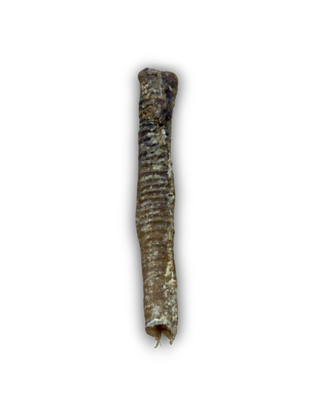 ANCO NATURALS LAMB TUBE 