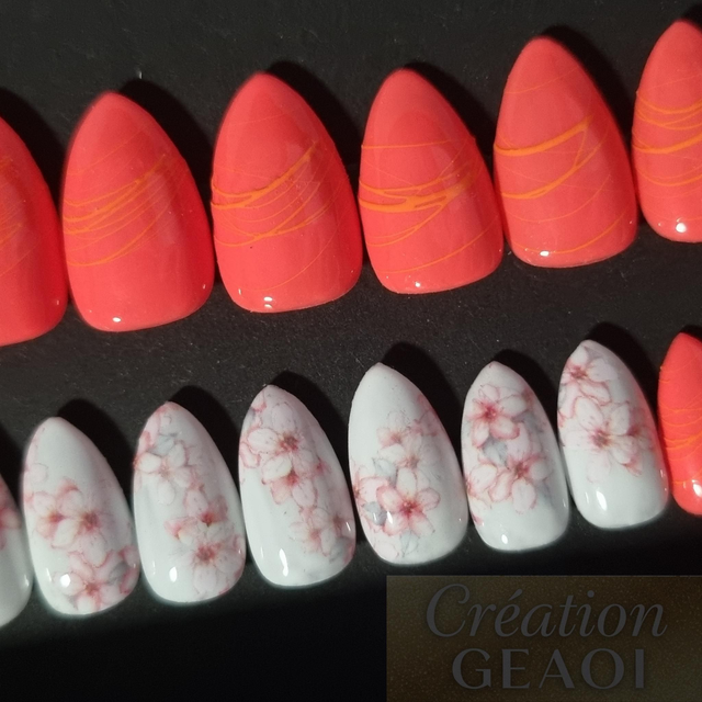 Corail Spider foil little Amande xs