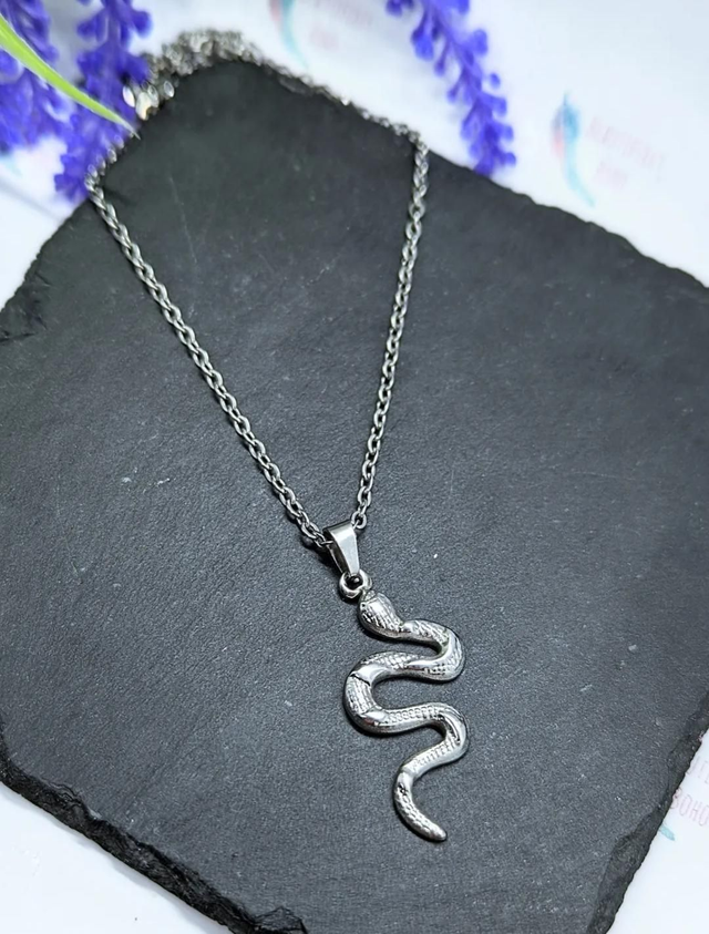 Stainless Steel Necklace with Snake Pendant.