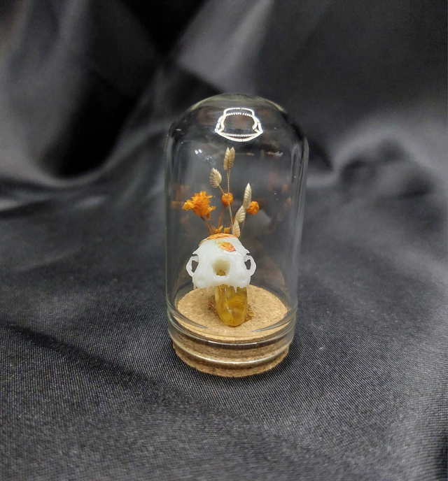 Mini-cloche chat double orange 
