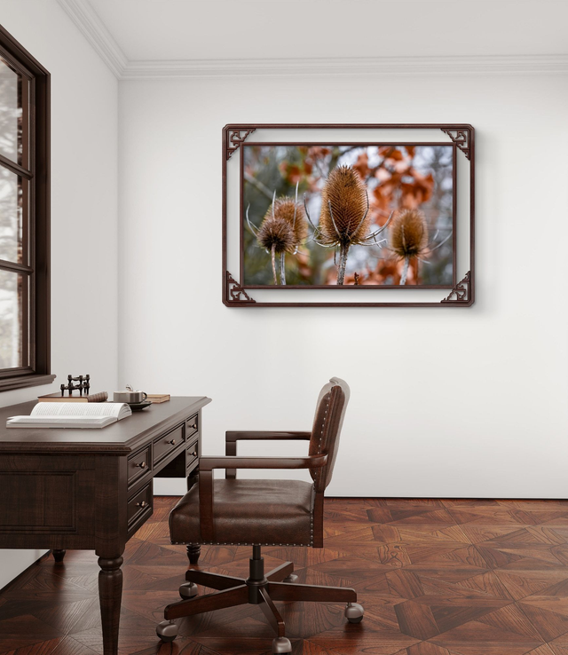 Flowers - Autumn Teasels - Print Only