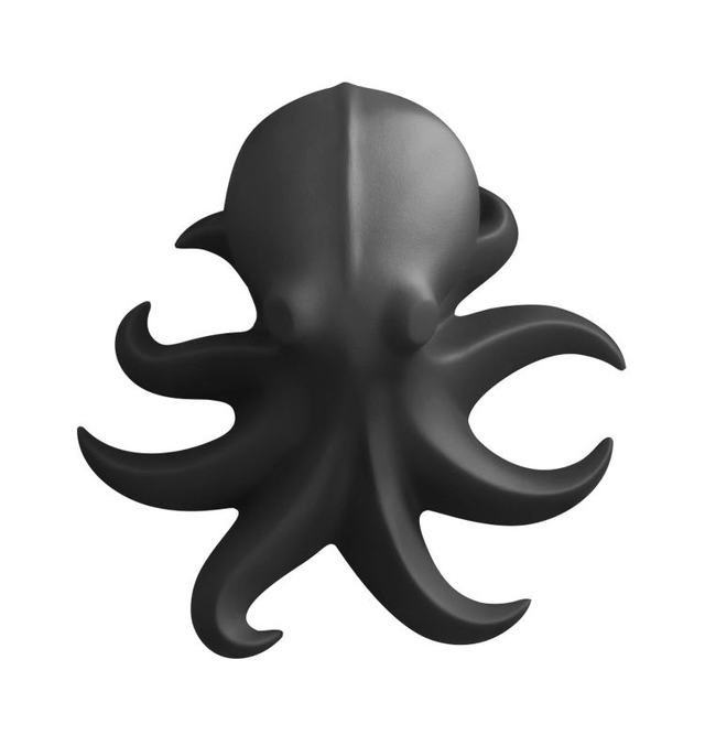 OCTO-CHROMATO ANTHRACITE