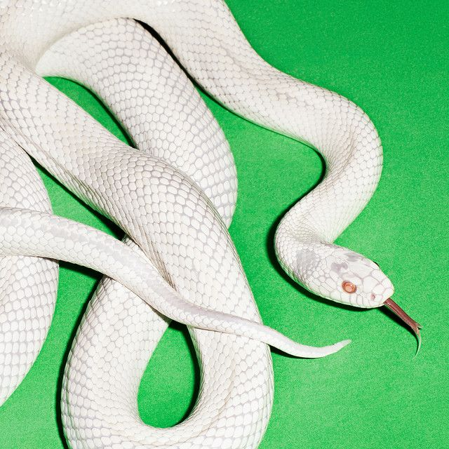 Deftones - Private Music LP