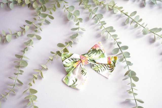 Hair Bow #001