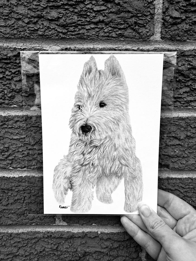 Westie Mini Print