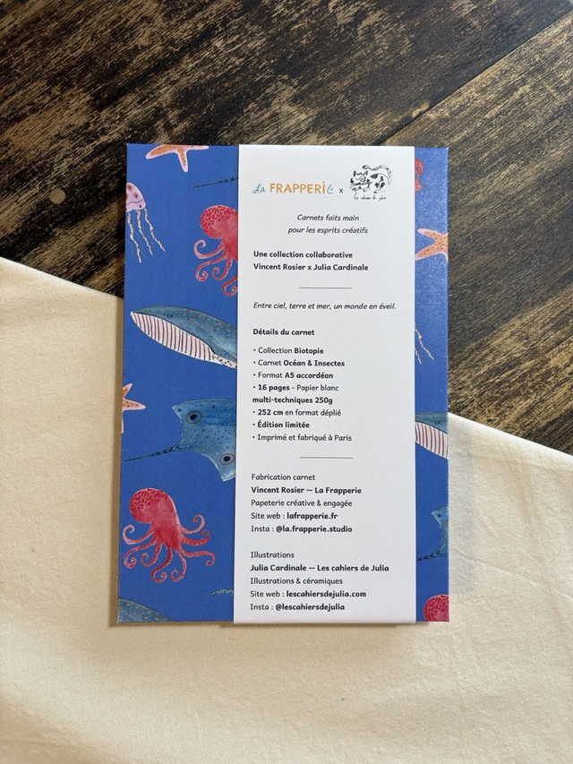 Océan &amp; Insectes – Carnet accordéon A5 multi-techniques