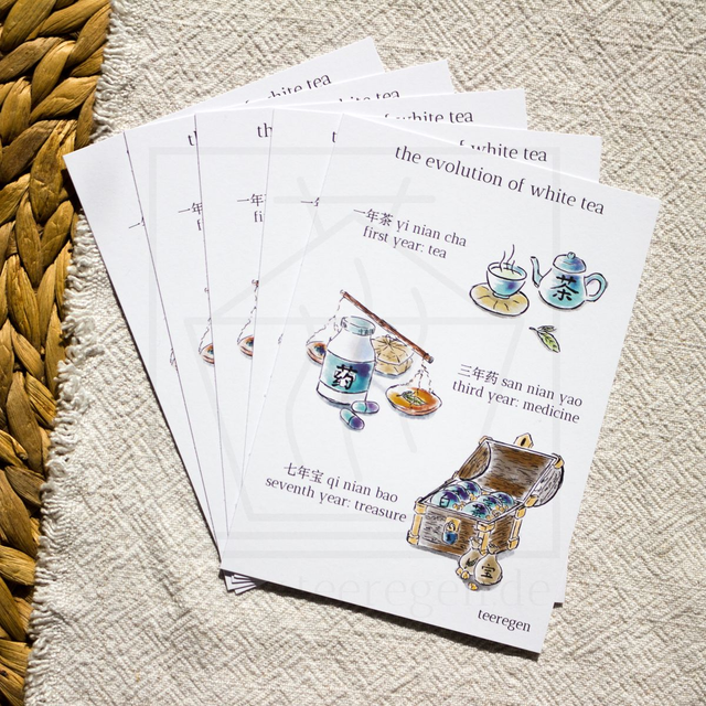 Evolution of White Tea - Set of 5 - Tea Culture On Postcards