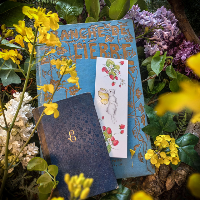 Marque-page &quot;Lapillon&quot;