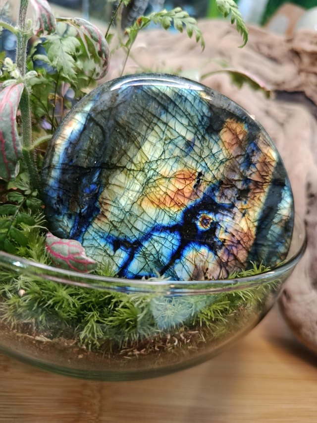 Labradorite Forme libre 269gr