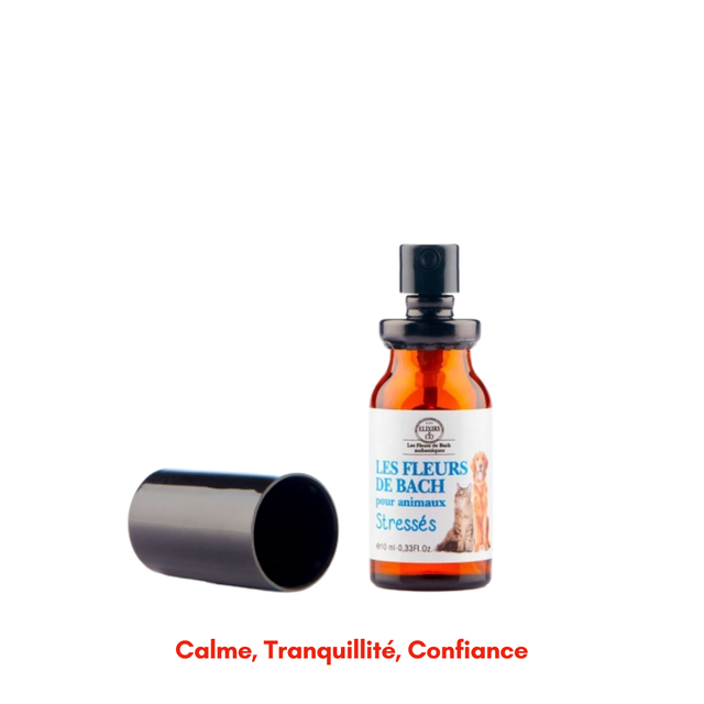 Spray Élixir ANIMAUX ~ Stressés