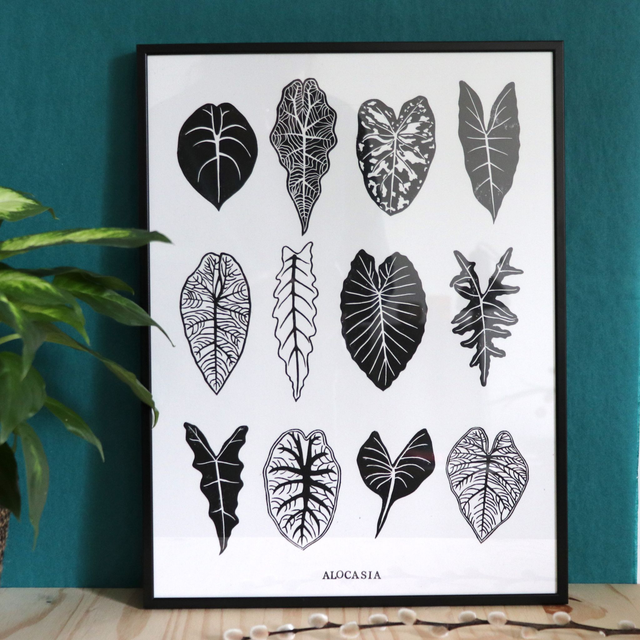 Linogravure A3 feuilles d'Alocasia