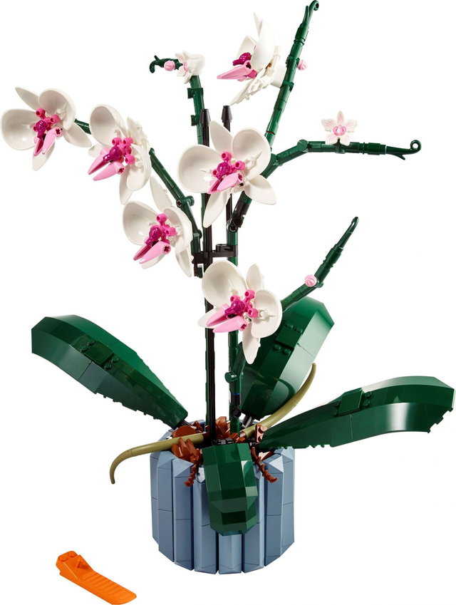 LEGO 10311 Orchidee