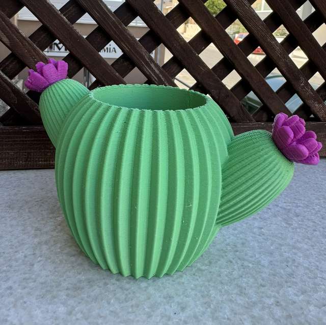 Cactus Planter