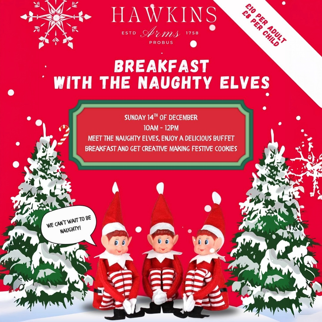 Naughty Elves Childrens Ticket 